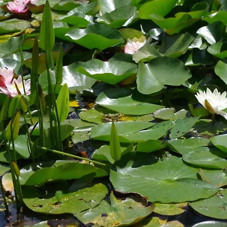 Le Cadran Solaire 3* Courcelles (Charente-Maritime)