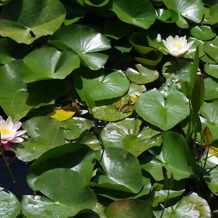 Le Cadran Solaire 게스트하우스