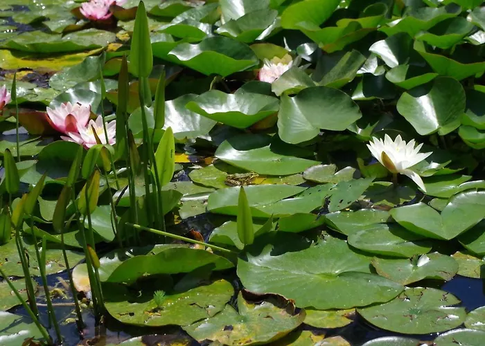 Le Cadran Solaire 3* Courcelles (Charente-Maritime)