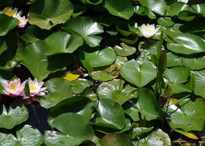 Le Cadran Solaire Guest house